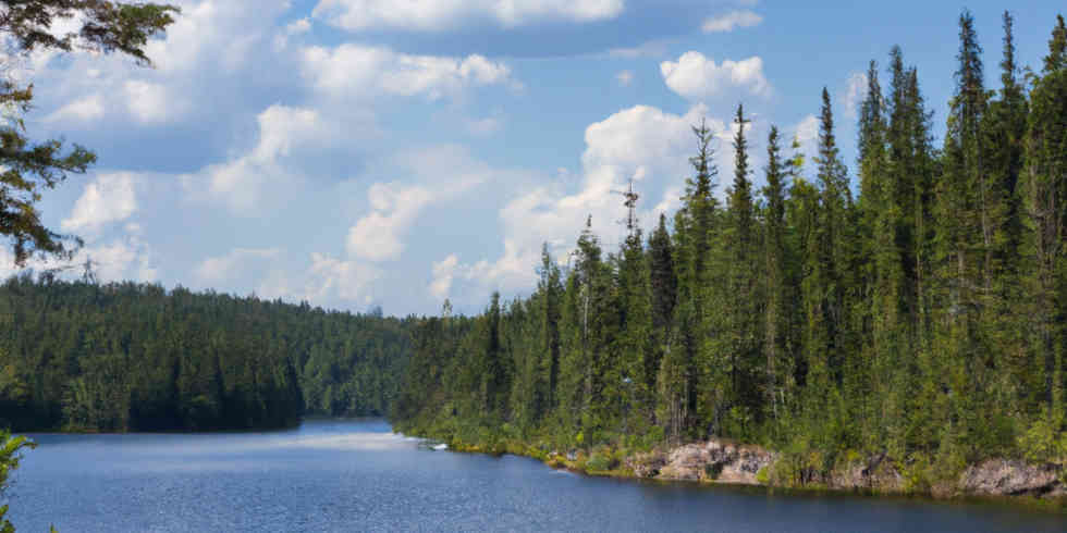 Majestic Sounds of Nature in 3D Audio