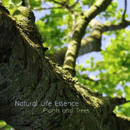 Natural Life Essence Plants and Trees album cover