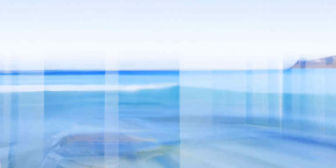 Natural Life Essence Imaginary Motion ambient soundscape
